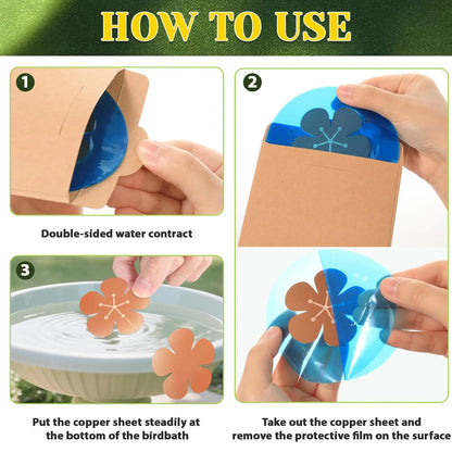 3PCS 99.99% Pure Copper Bird Bath Purification Discs